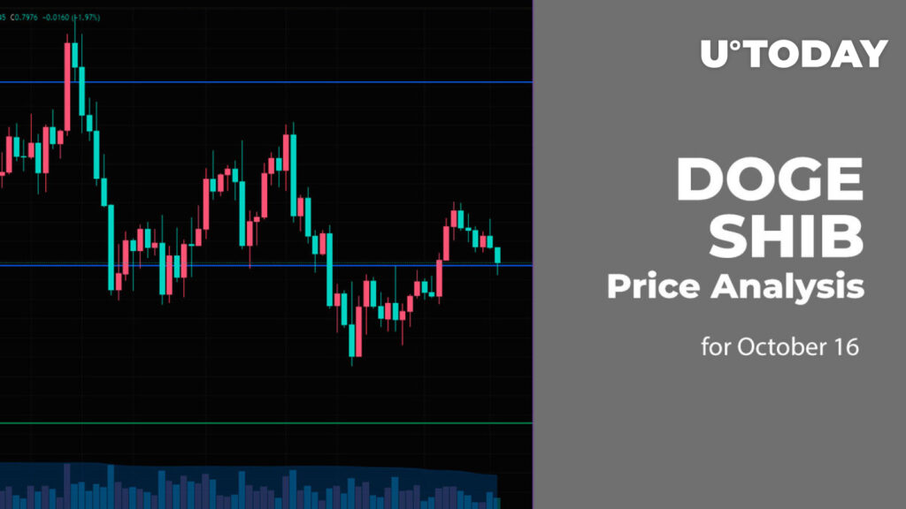 DOGE and SHIB Price Analysis for October 16