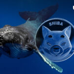 Mysterious Whales Move Trillions of SHIB as Transactions Jump 154%