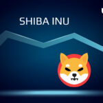 Shiba Inu Burn Rate Spikes 14,267%, Price Recovers