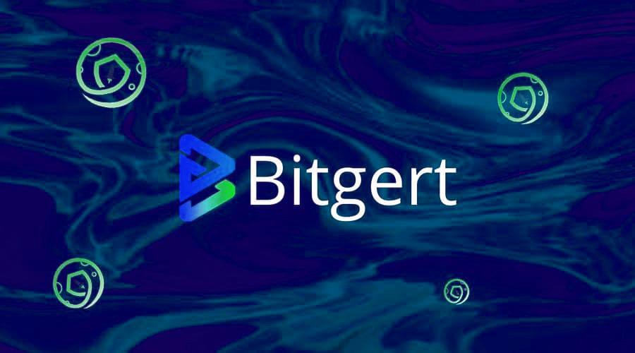 Bitgert (BRISE) Has Great Profit Potential Than Dogecoin (DOGE) and Shiba Inu (SHIB) This October