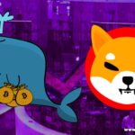 Find Here The Sudden Massive Shiba Inu Transaction by Crypto Whale