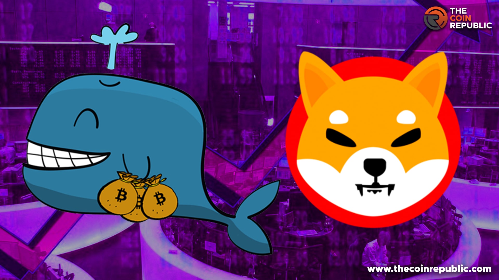 Find Here The Sudden Massive Shiba Inu Transaction by Crypto Whale