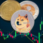 What are the top community-driven projects in the Coin Market – Shiba Inu, Dogecoin, and Big Eyes?