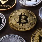 EverGROW and SHIB outperform BTC. Is it time to buy?