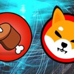 Shiba Inu BONE Emerges as the Most Used Smart Contract