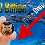 Shiba Inu price fall makes this anonymous whale purchase another 70 Billion SHIB