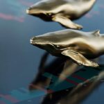 Crypto Whales Scoop Up $35M in Shiba Inu (SHIB), Signaling Bull Season