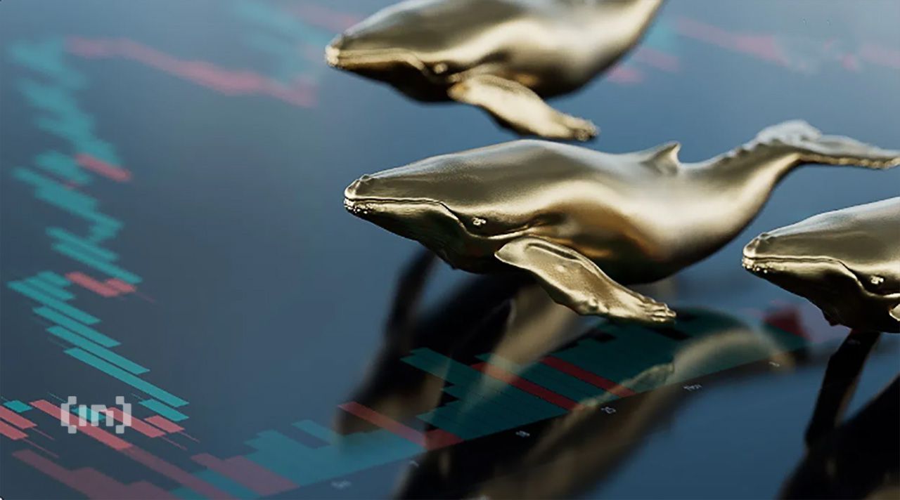 Crypto Whales Scoop Up $35M in Shiba Inu (SHIB), Signaling Bull Season