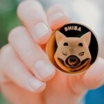 Shiba Inu (SHIB) faces profiteering near the 100 EMA!