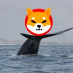 Whale Unstakes Over 800 Billion SHIB from ShibaSwap in One Transaction. Here’s the Implication