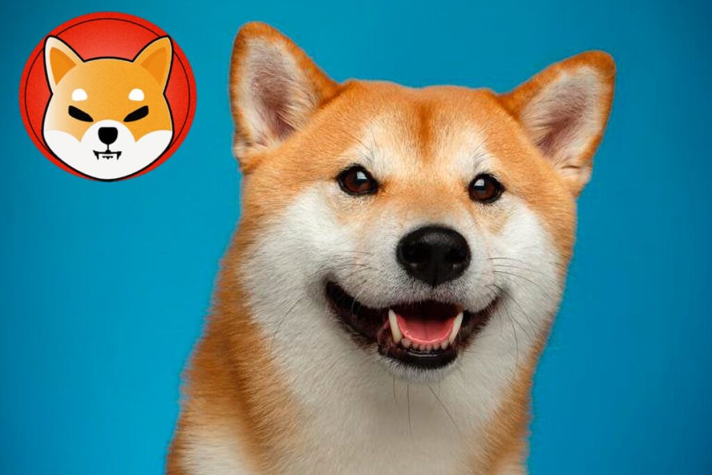 Shiba Inu Gets New Listing, Burn Rate Surges over 400%