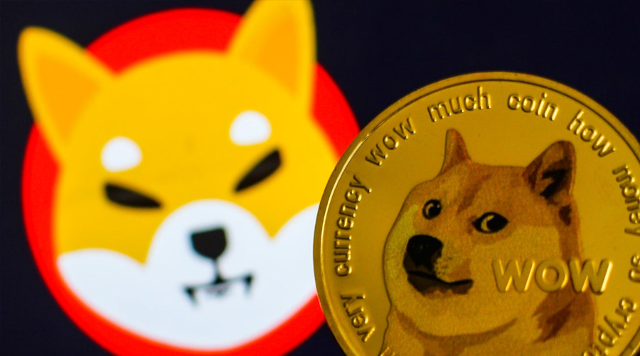 New ecosystem to beat Shiba Inu, Dogecoin growth this 2022