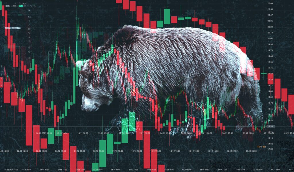 Here’s what you should expect from Avalanche, Shiba Inu, Rocketize after the Bear Market