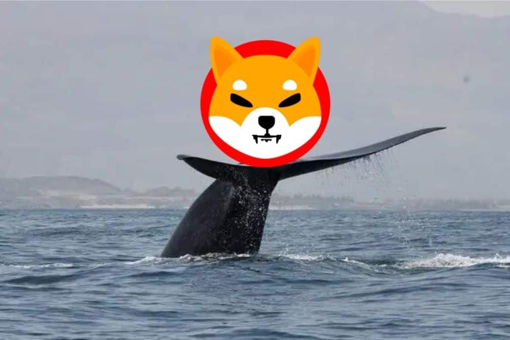 New Shiba Inu Whale Emerges As It Bags Over 3 Trillion SHIB