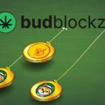 Why are Saudi Shiba Inu and Tamadoge users flocking toward BudBlockz?