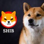 Amazon and Netflix accept SHIB payments