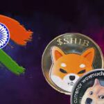 The most traded asset on Indian cryptocurrency exchanges is the Shiba Inu (SHIB)