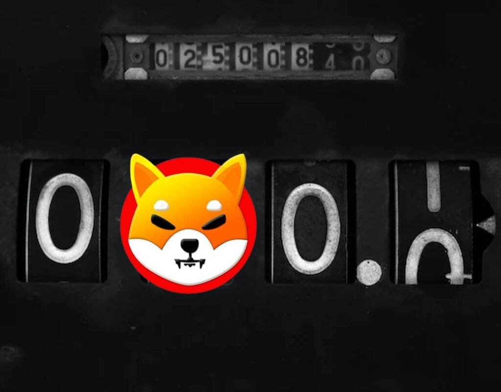 Here’s How Many ‘Zeroes’ Shiba Inu Deleted From October 2021 to 2022