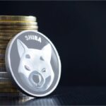 What To Watch On The Shiba Inu Chart As The Dogecoin Killer Consolidates – SHIBA INU (SHIB/USD)