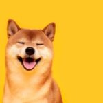 What To Watch On The Shiba Inu Chart As The Dogecoin Killer Rests – SHIBA INU (SHIB/USD)