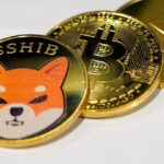 SHIB to BTC Prediction | Shiba Inu Attracting Renewed Interest