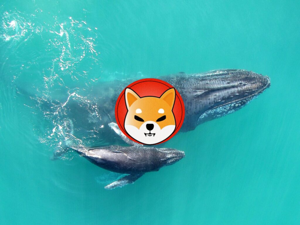 New SHIB Whale Buys 3 Trillion Coins worth $34 Million