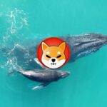 New SHIB Whale Buys 3 Trillion Coins worth $34 Million