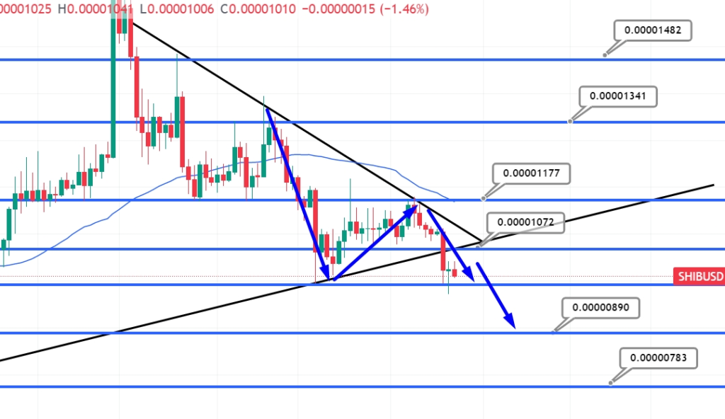 Shiba Inu Price Prediction – Can SHIB Overtake Bitcoin?