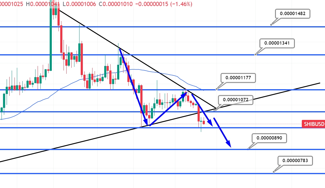 Shiba Inu Price Prediction – Can SHIB Overtake Bitcoin?