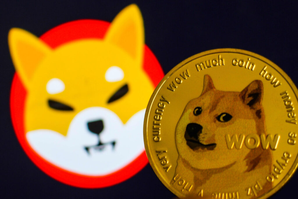 Dogecoin And Shiba Inu In The Lead