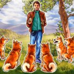 Shiba Inu price drops to record low vs Dogecoin — Will history repeat with a 150% rally?