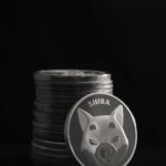 Shiba Inu Announces Countdown Timer, Sparks Speculation”