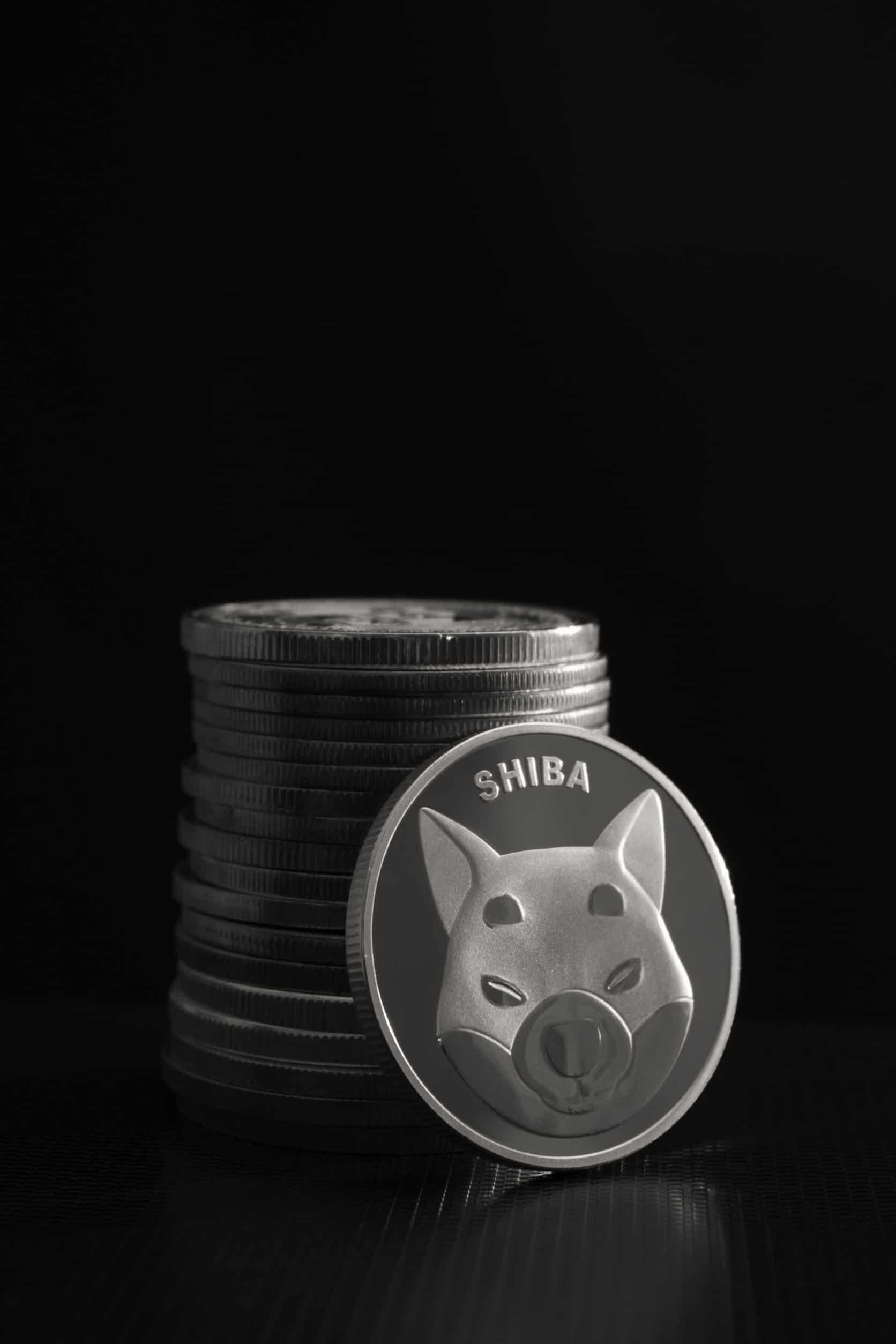 Shiba Inu Announces Countdown Timer, Sparks Speculation”