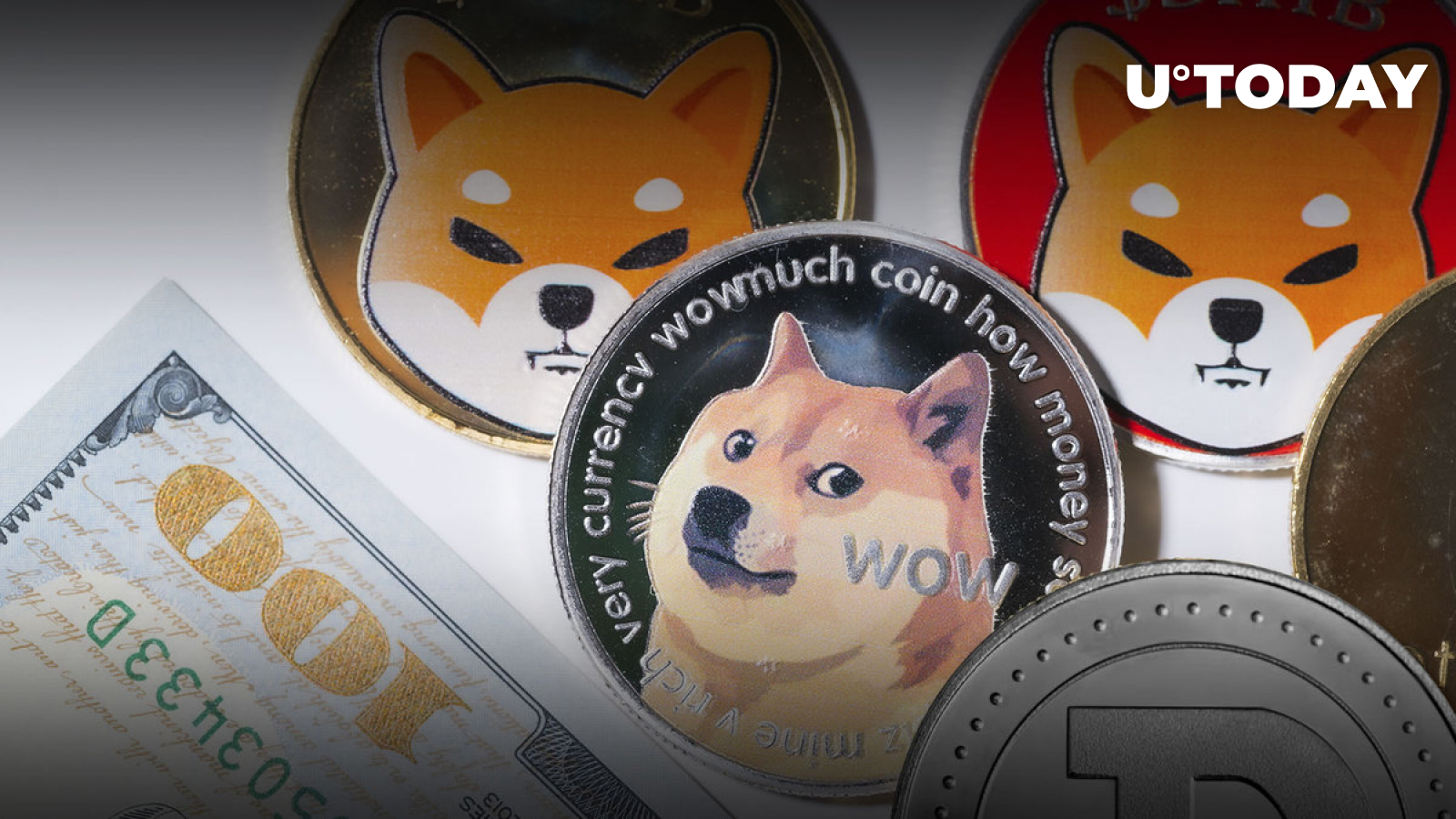 SHIB Price Jumped 7.5% as DOGE Correlation Broke Down, This Is What Happened