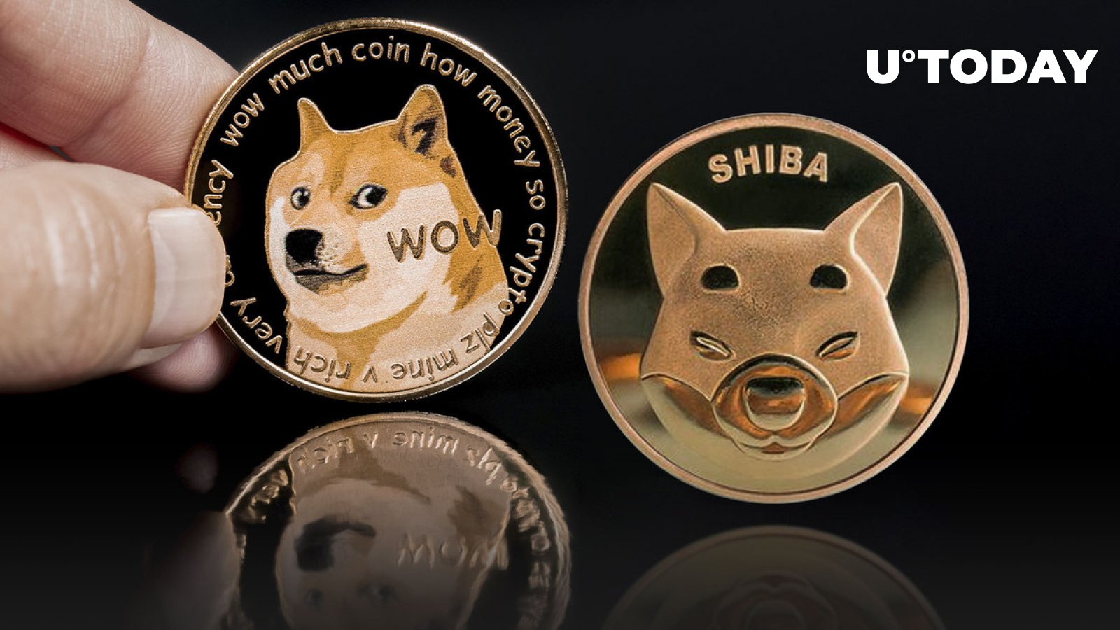 SHIB Outperforms DOGE With 13% Surge Against It in 5 Days