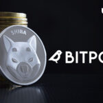 Millions of SHIB to Be Gifted During Listing on Major Japanese Crypto Exchange