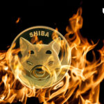 Shiba Inu Sees Nearly 100% Weekly Burns, What’s Next on SHIB Price?