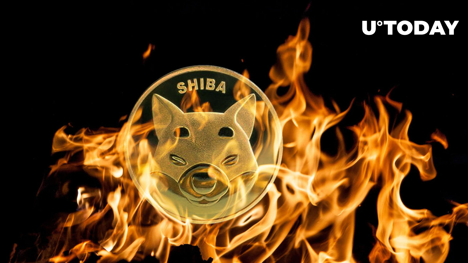 Shiba Inu Sees Nearly 100% Weekly Burns, What’s Next on SHIB Price?