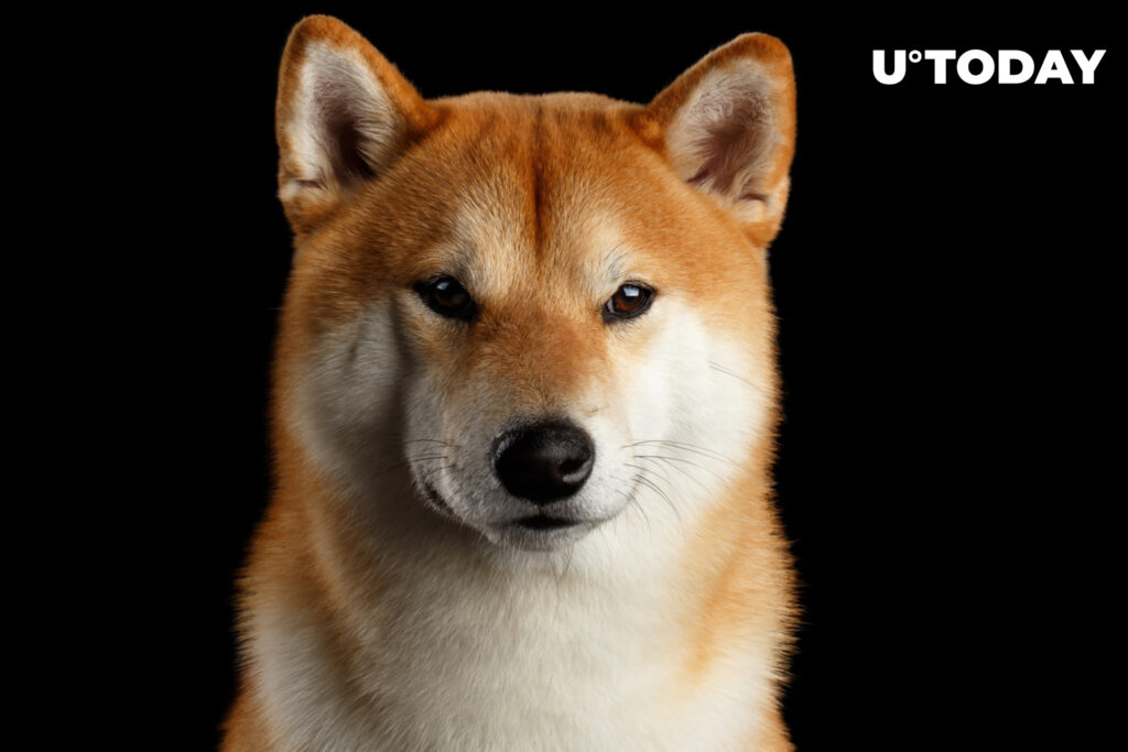 Shiba Inu’s Market Cap Slips Below $6 Billion Amid Market Bloodbath