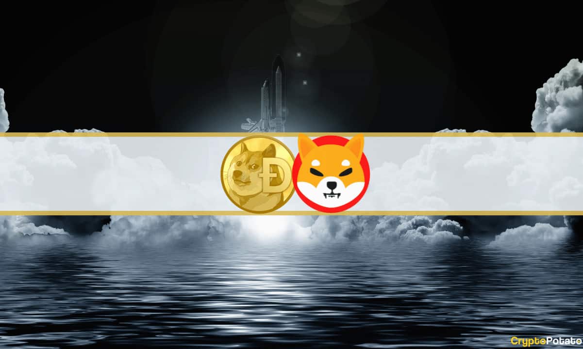 Dogecoin Soars 25%, Shiba Inu Up 8% (Market Watch)