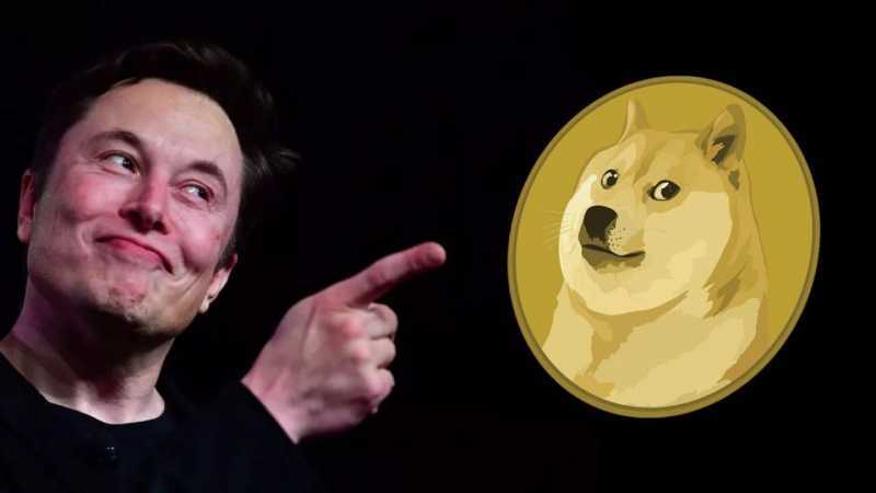 Twitter Owner Elon Musk’s Shiba Inu Tweet Makes Dogecoin Gain 22% in Just 4 Hours