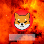 Shiba Inu Holders Burn 21M SHIB Tokens in 9 Transactions