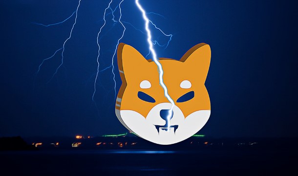 Shiba Inu (SHIB) Preparing for New Rally! What’s the Current Data? ⋆ Somag News