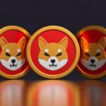 Shiba Inu Struggle Continues As Altcoins Rally With Over 70% Gain; Here Is Why