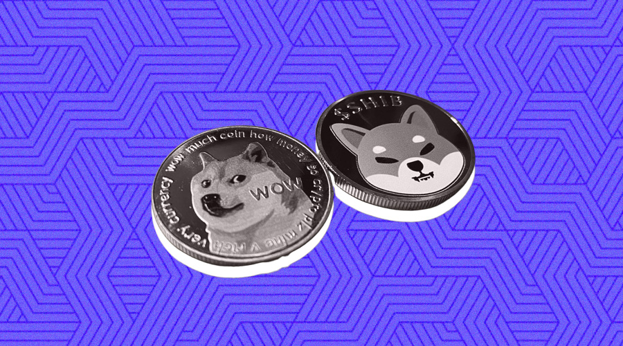 Dogecoin and Shiba Inu Pumps but Still Couldn’t Match Up Bitgert (BRISE) Performance