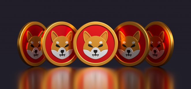 Shiba Inu Struggle Continues As Altcoins Rally With Over 70% Gain; Here Is Why