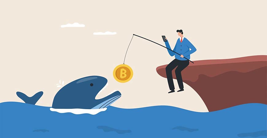 What Crypto Are Whales Buying And Why?