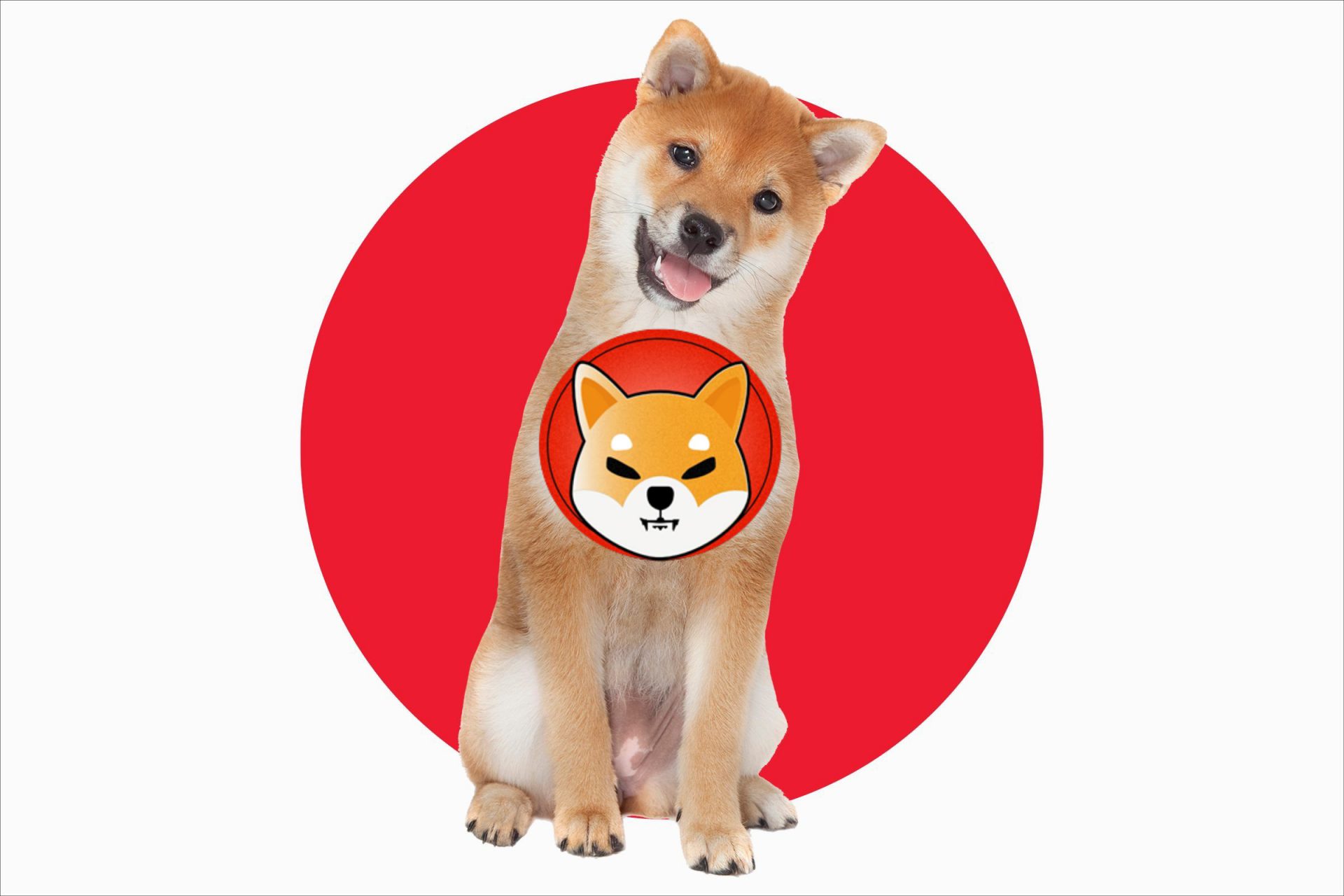 Shiba Inu Finally on a Japanese Exchange, Here’s the Significance