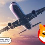 American Air and Air Canada Now Accept Shiba Inu Via FCF Pay