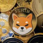 Shiba Inu November Price Prediction